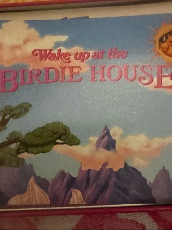 2025 McDonald's The McDonaldLand Adult Happy Meal Tins!  New And Sealed “BIRDIE” - Picture 13 of 15